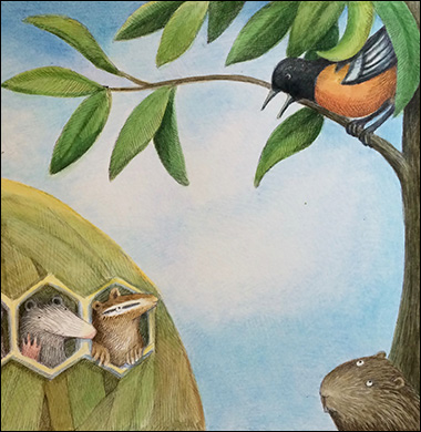 Oriole Talking, Anne Hunter, Author and Illustrator